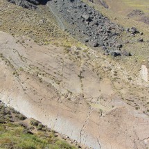 Wall with tracks of Dinosaurs